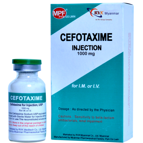 CEFOTAXIME